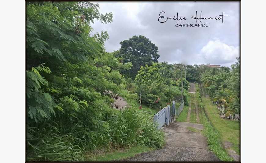 - Terrain de 696m² - Case-Pilote