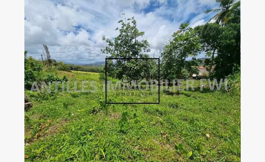 Riviere Salee : Exclusivité pour ce beau terrain de 5000m²