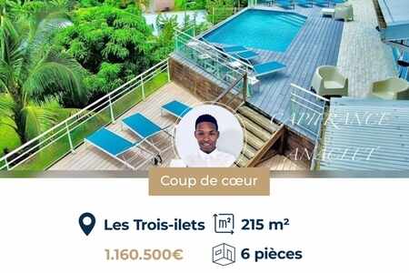 Coup De Cœur? Charmante Villa Moderne Les Trois Ilets (972)