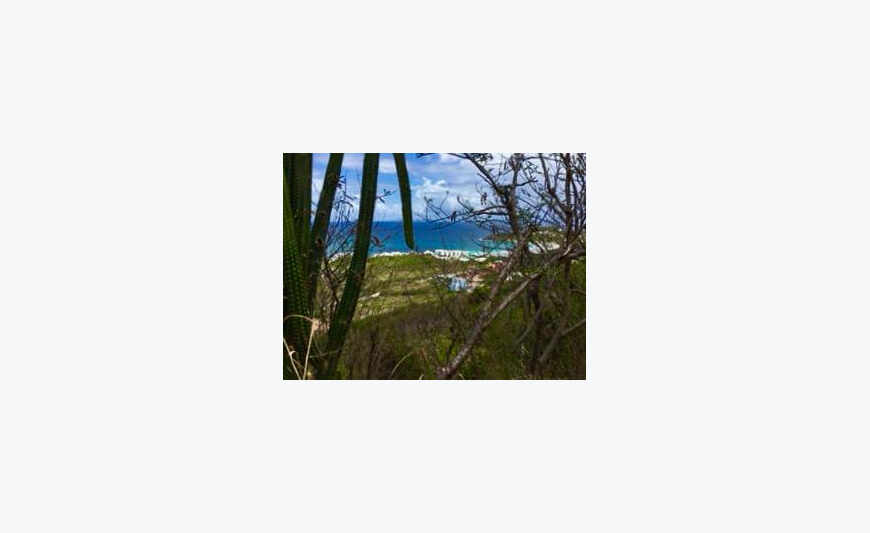 Rare terrain vue mer imprenable secteur prisé