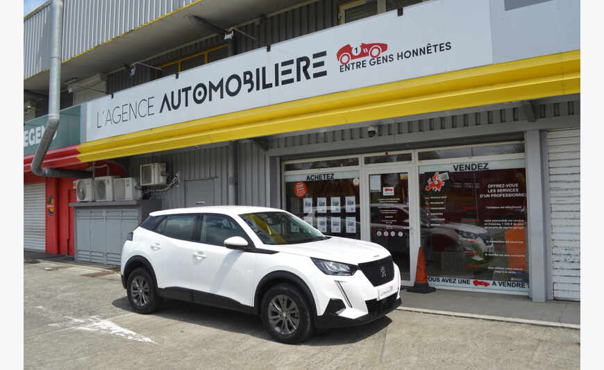 Peugeot 2008 Business 1,5 BlueHdi 110 Active