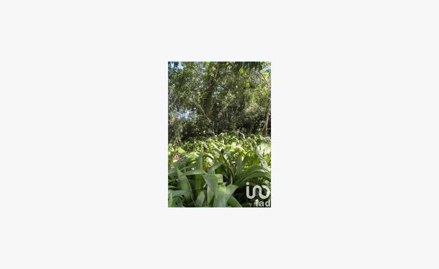 Terrain 793 m²