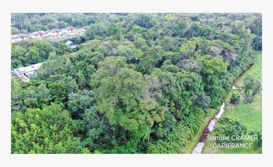 Saint Laurent Du Maroni Terrain