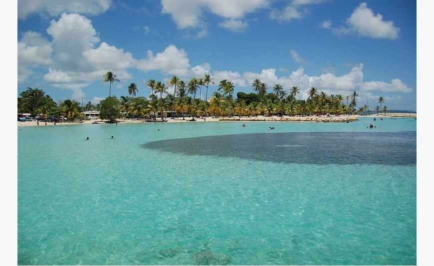 Superbe villa + Studio indépendant piscine jacuzzi sur 813