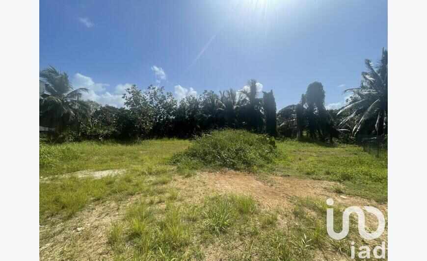Terrain à bâtir 354 m²