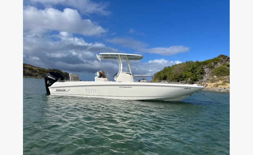 Boston Whaler 270 Dauntless