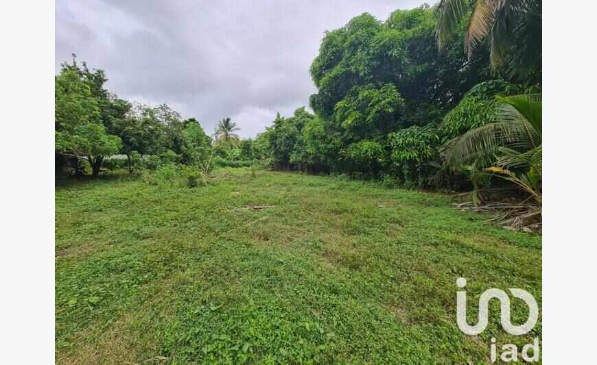 Terrain à bâtir 1 196 m²
