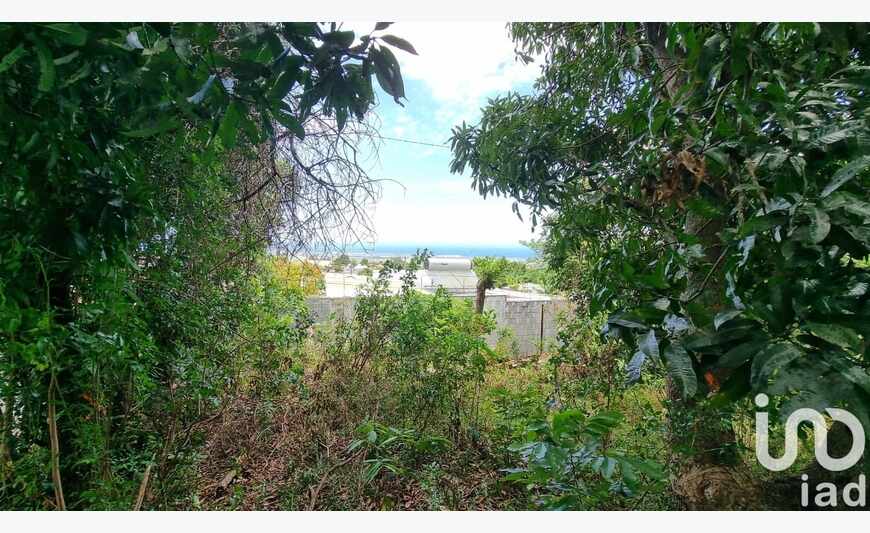 Terrain 295 m²