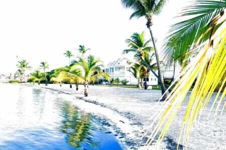 Appartement 2 Pieces Dans Residence En Bordure Du Lagon