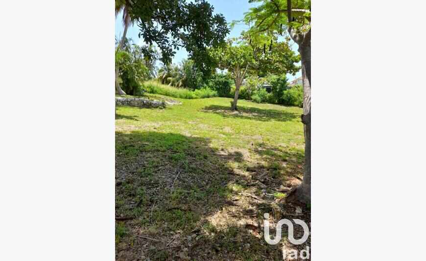 Terrain 1 645 m²