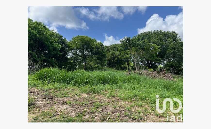 Terrain 5 950 m²