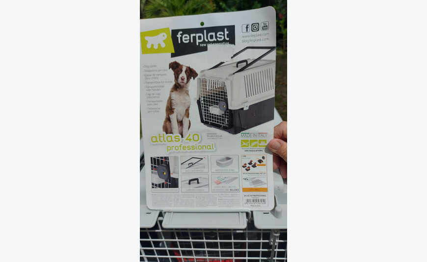 caisse de transport pour chien
