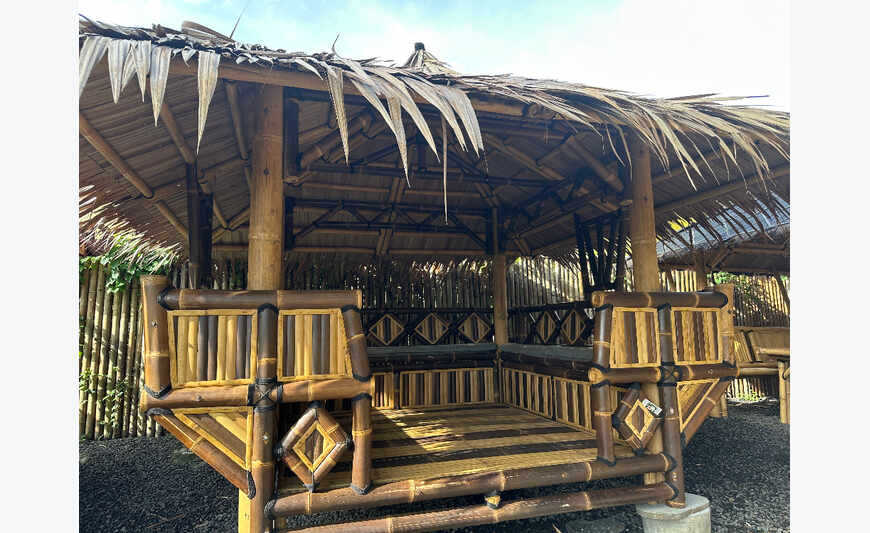Carbet bambou