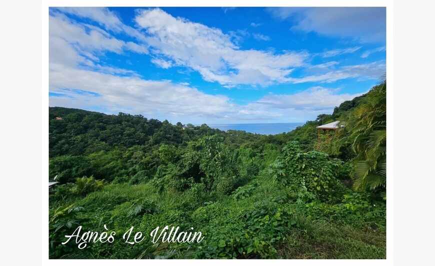 Terrain de 7 600 m2 Vue Mer