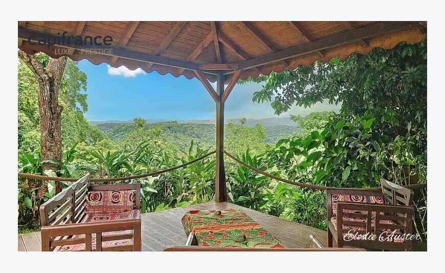 Propriété vue montagnes 12 pièces composée d'une villa et 1