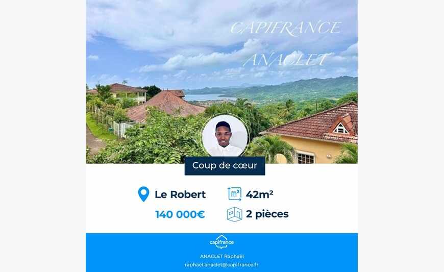 ? - Appartement T2 avec vue mer panoramique - Le Robert