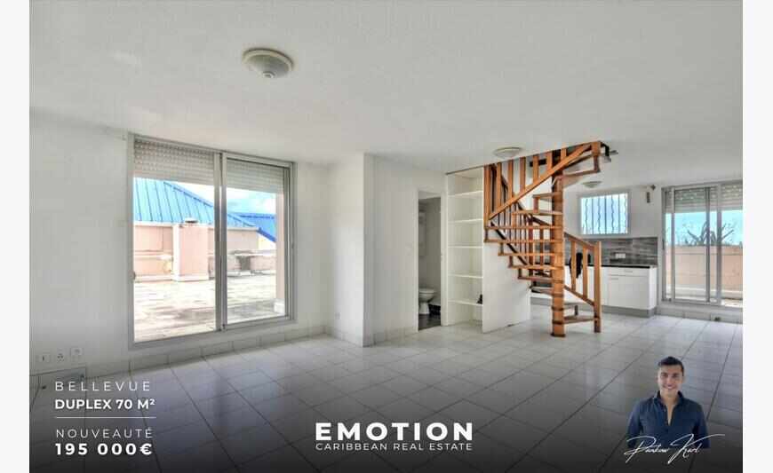 Appartement Duplex 70m2 + terrasse Bellevue