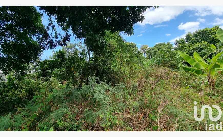 Terrain à bâtir 603 m²