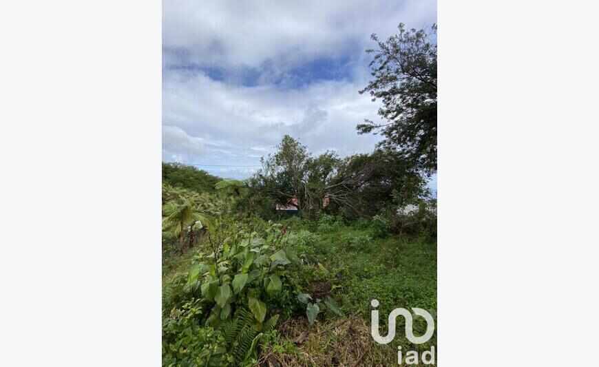 Terrain 370 m²