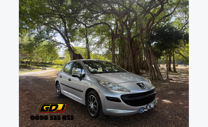 Peugeot 207 14 essence ⛽️ 5 portes