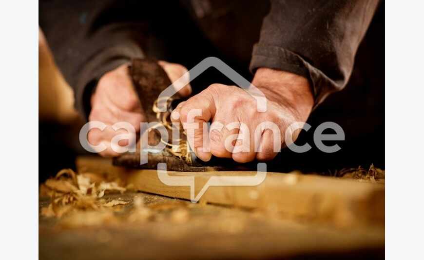 Saint Louis (97421) Fonds de commerce menuiserie - Murs