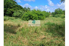 Pointe Faula parcelle 1116M² de plain-pied