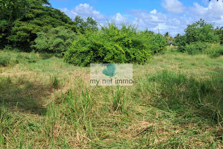 Pointe Faula parcelle 1116M² de plain-pied