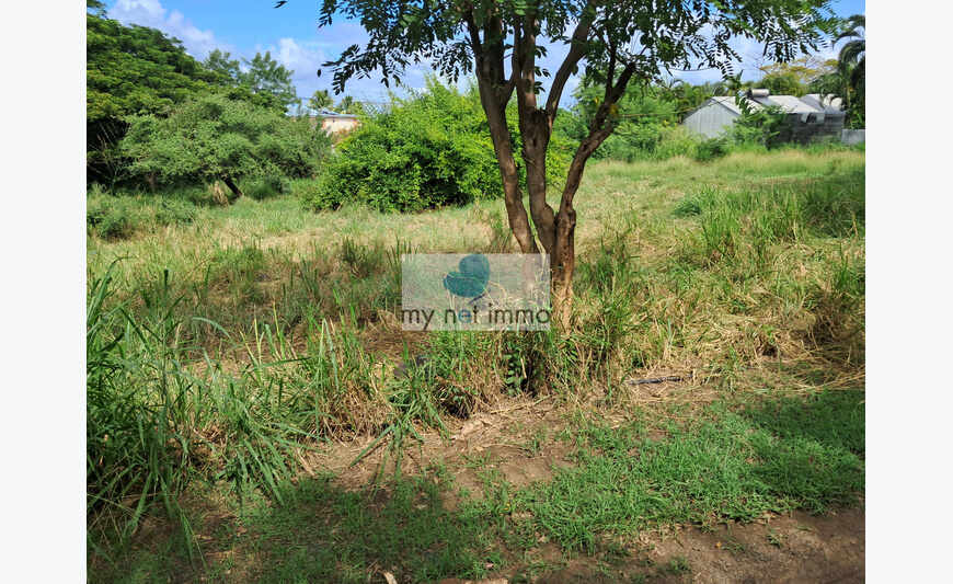 Pointe Faula parcelle 599M² de plain-pied