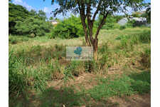 Pointe Faula parcelle 599M² de plain-pied