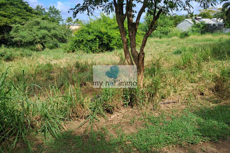 Pointe Faula parcelle 599M² de plain-pied