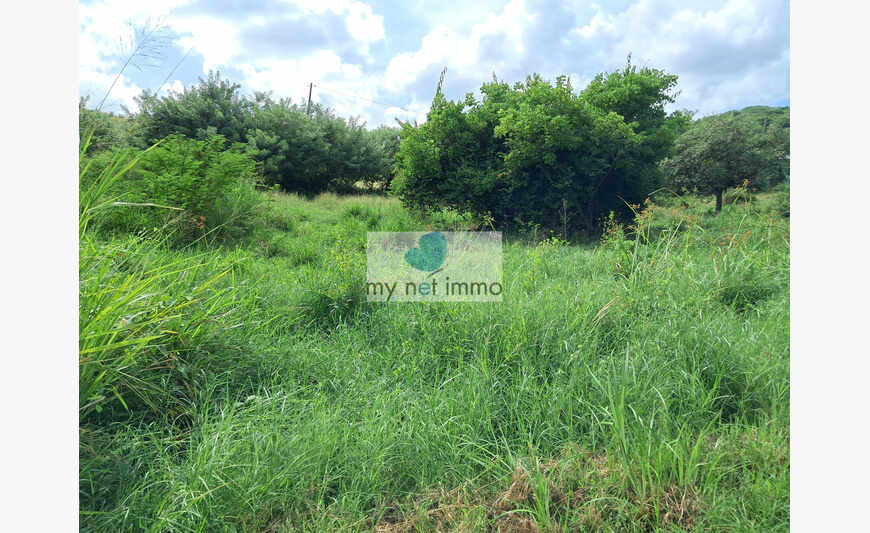 Pointe Faula parcelle 516M² de plain-pied