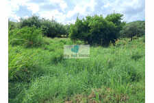 Pointe Faula parcelle 516M² de plain-pied