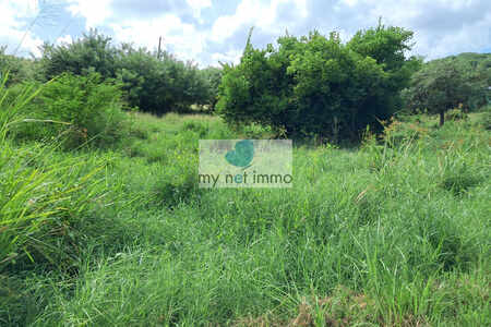 Pointe Faula parcelle 516M² de plain-pied