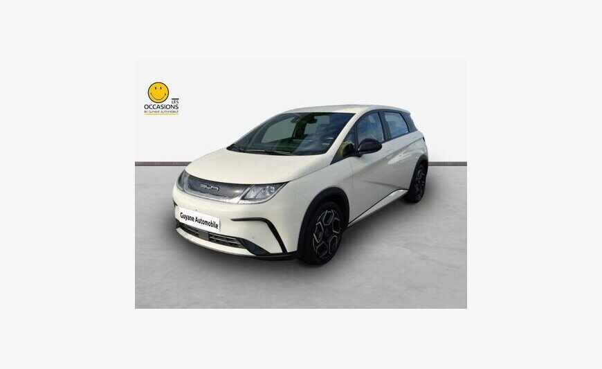 Byd Dolphin
