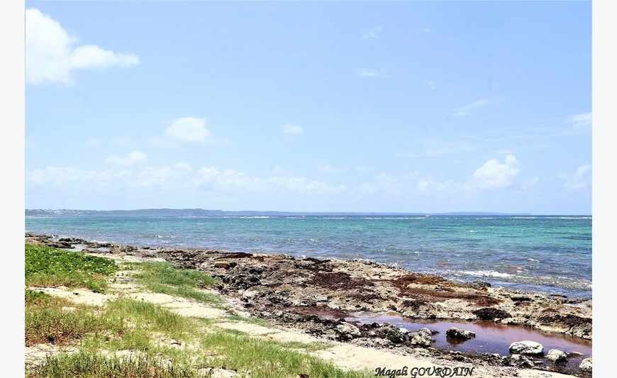 En Exclusivité - Le Moule - Grand Studio Meublé -