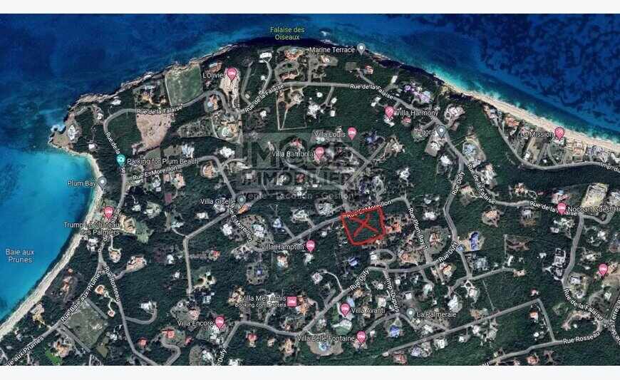 Terrain Saint Martin 10000 m2