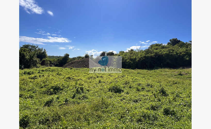 Terrain Vue Foret Dans Lotissement Viabilise Gosier