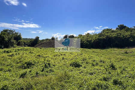 Terrain Vue Foret Dans Lotissement Viabilise Gosier