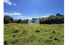 Terrain Vue Foret Dans Lotissement Viabilise Gosier