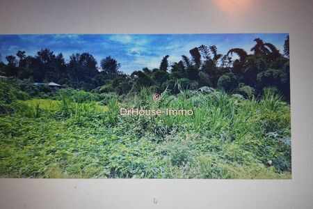 Terrain exceptionnel de 551m² au Tampon fond d'impasse 3