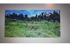 Terrain exceptionnel de 551m² au Tampon fond d'impasse 3