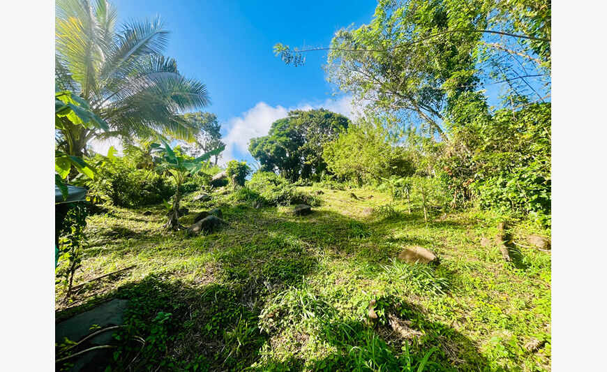 Terrain de 864 m² à Sainte-Luce - Cadre paisible proche