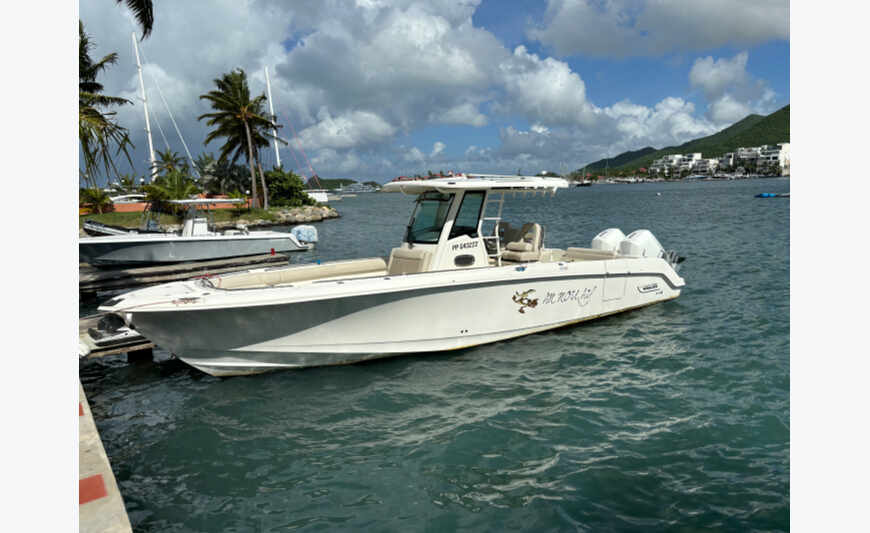 BOSTON WHALER 330 OUTRAGE
