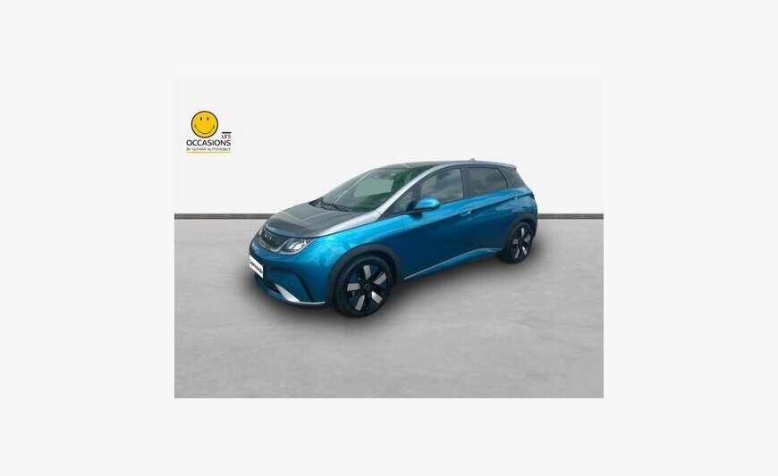 Byd Dolphin