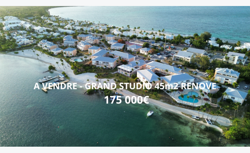 Grand T1 rénové - BAIE NETTLE