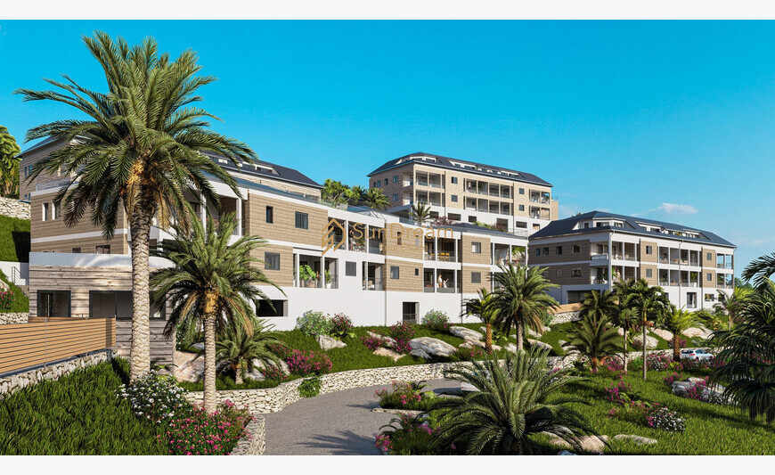 Programme neuf - Anse Marcel