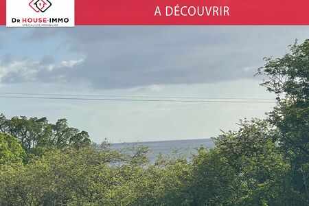 Vue mer et montagne.