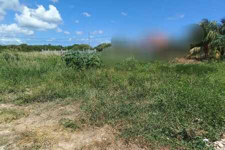 Terrain de 600 m² , St Jacques Saint Francois (971)