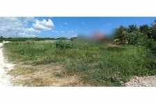 Terrain de 600 m² , St Jacques Saint Francois (971)