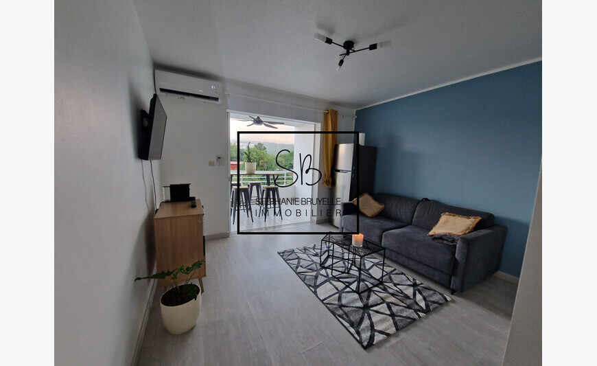 Schoelcher: Exclusivité: Coup De Coeur Pour Ce Beau Studio